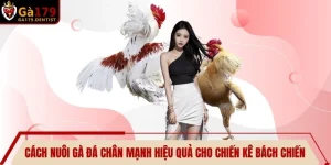 TIN TỨC - UK.COM