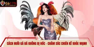TIN TỨC - UK.COM