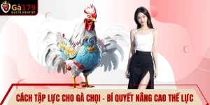 TIN TỨC - UK.COM