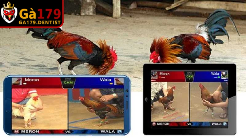 Link Vào GA179 An Toàn - Cách Truy Cập Nhanh Chính Xác